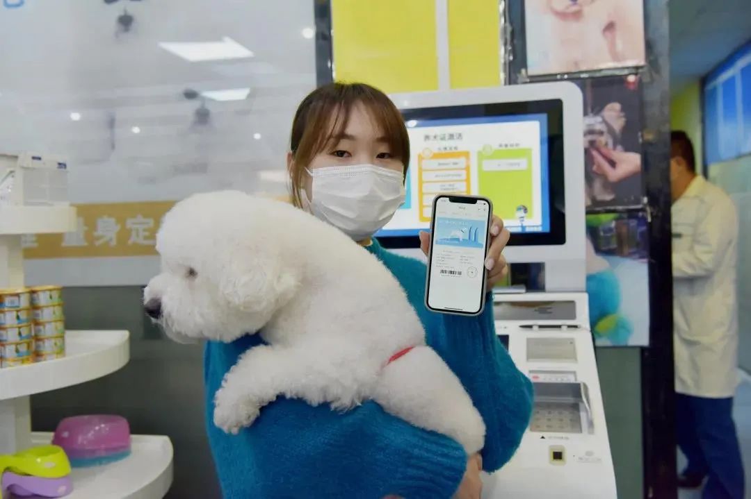 政策引导 产学研助力,厦门人工智能产业已初步形成规模