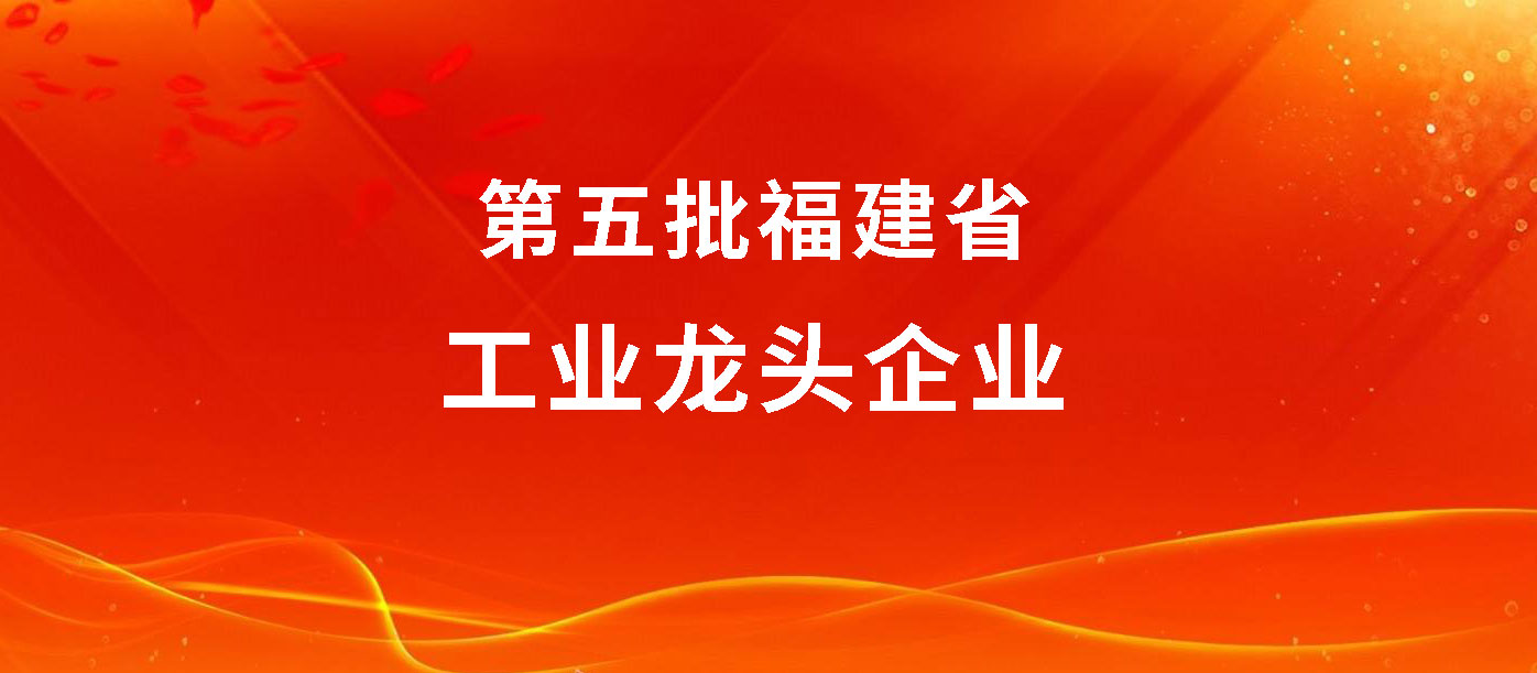 28家闽企上榜“第五批福建省工业龙头企业”名单